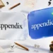 Appendix or Appendices