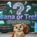 Asana or Trello